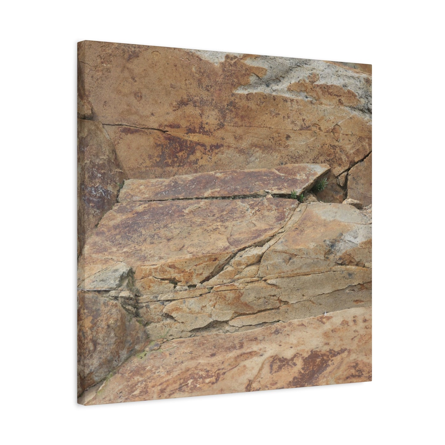 Rocky Terrain - Unique Frameless Canvas Wall Art - Art By Earth