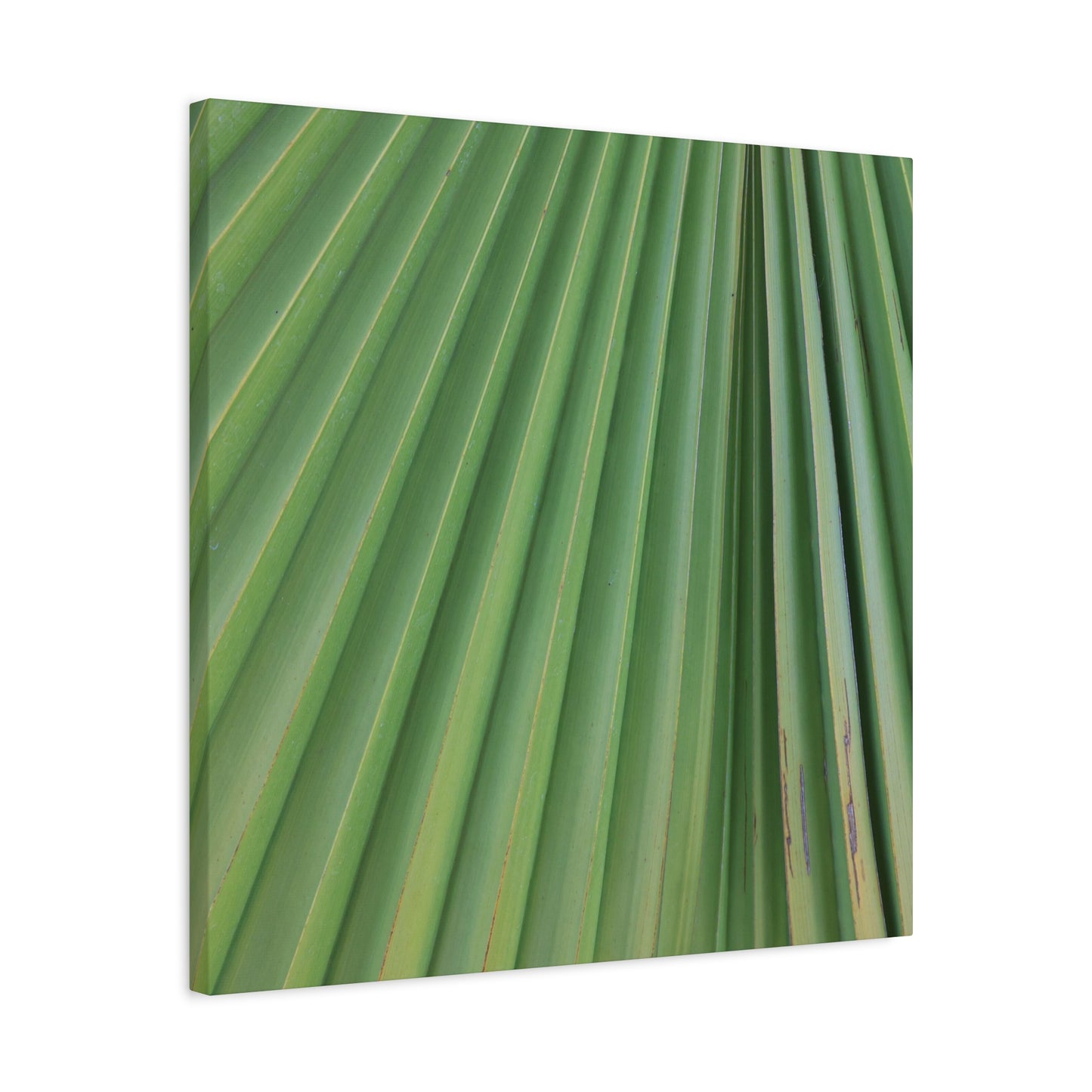 Palm Pulse - Unique Frameless Canvas Wall Art - Art By Earth