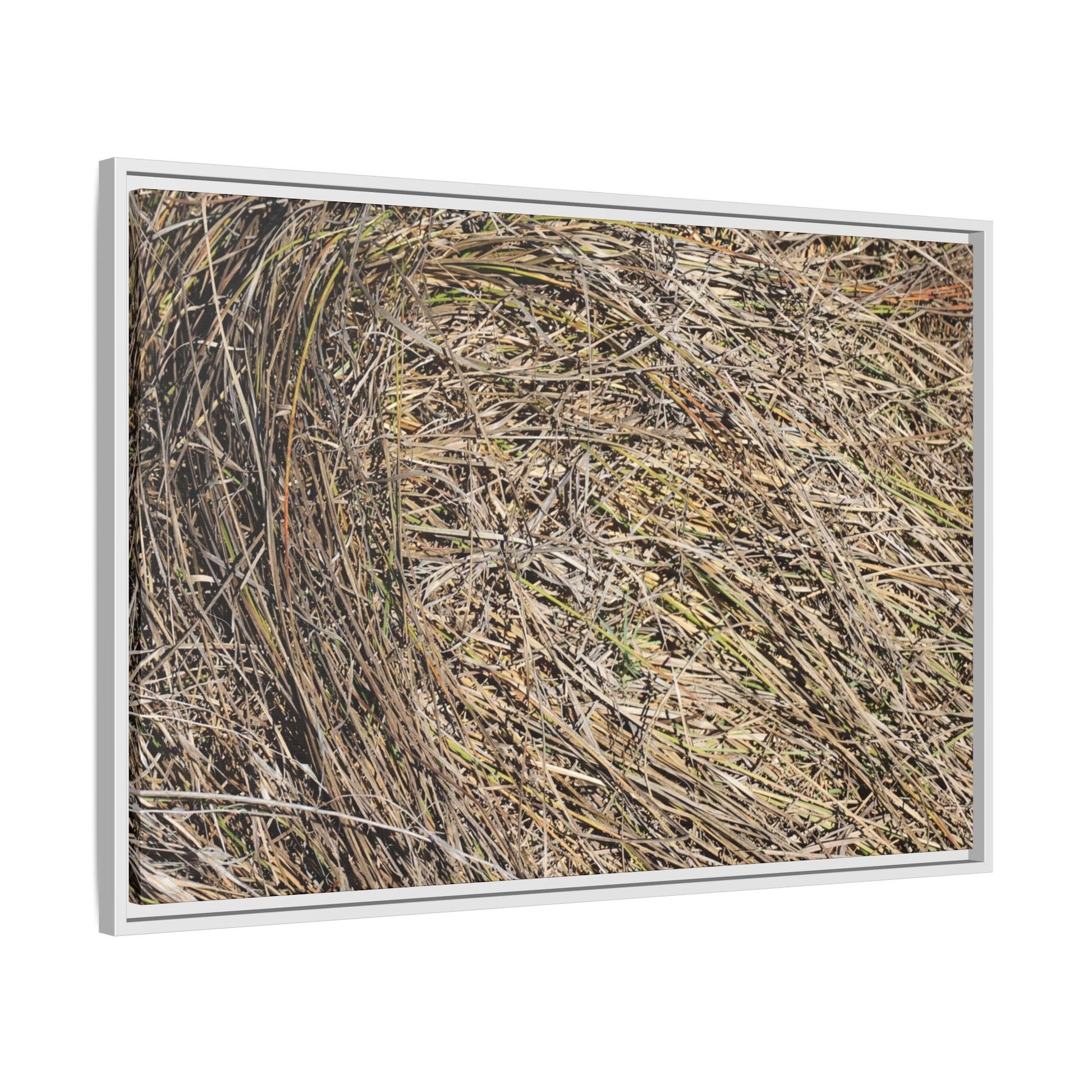 Tangled Grass Symphony - Unique Stretched Canvas Wall Art - Art By Earth