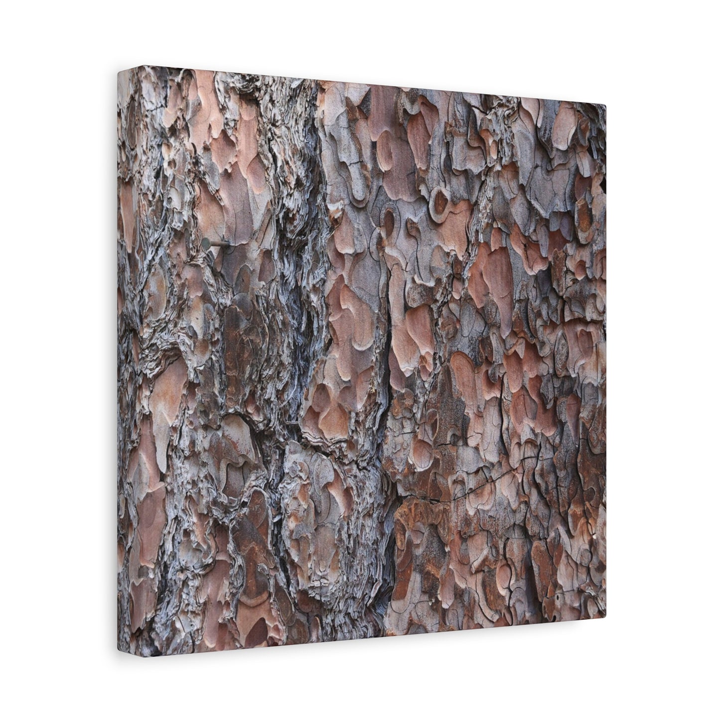 Woodland Armor - Unique Frameless Canvas Wall Art - Art By Earth