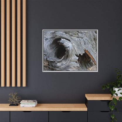 Bark's Labyrinth - Unique Stretched Canvas Wall Art - Art By Earth