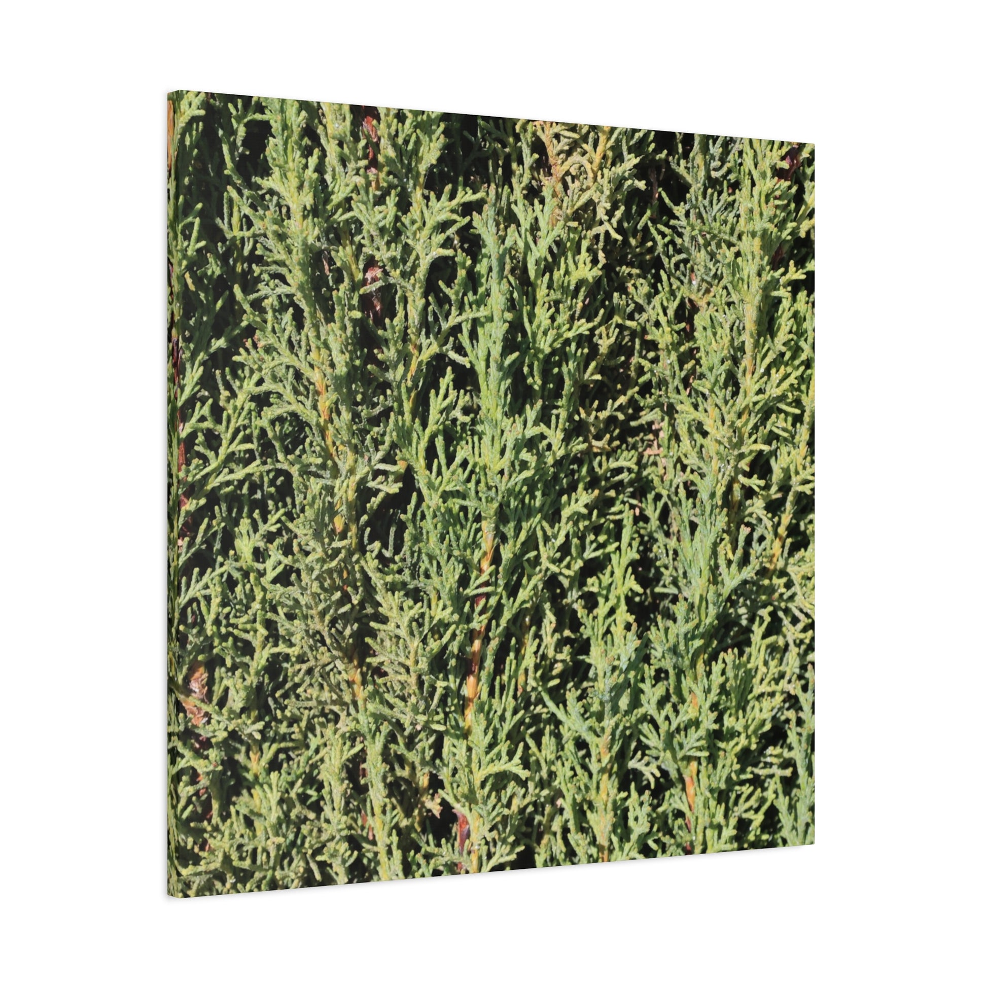 Emerald Tapestry - Unique Frameless Canvas Wall Art - Art By Earth