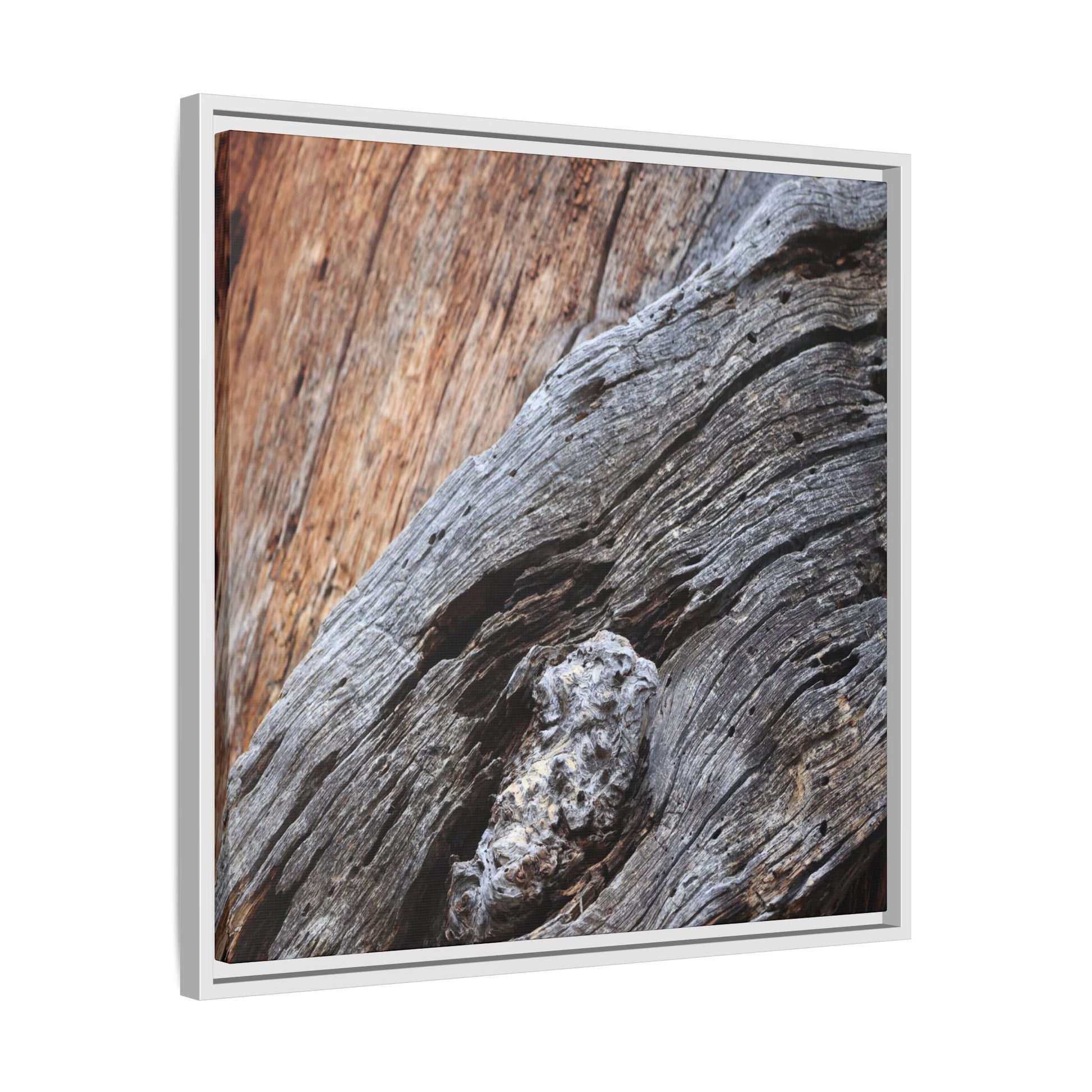 Time's Mark on Timber - Unique Stretched Canvas Wall Art - Art By Earth
