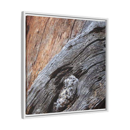 Time's Mark on Timber - Unique Stretched Canvas Wall Art - Art By Earth