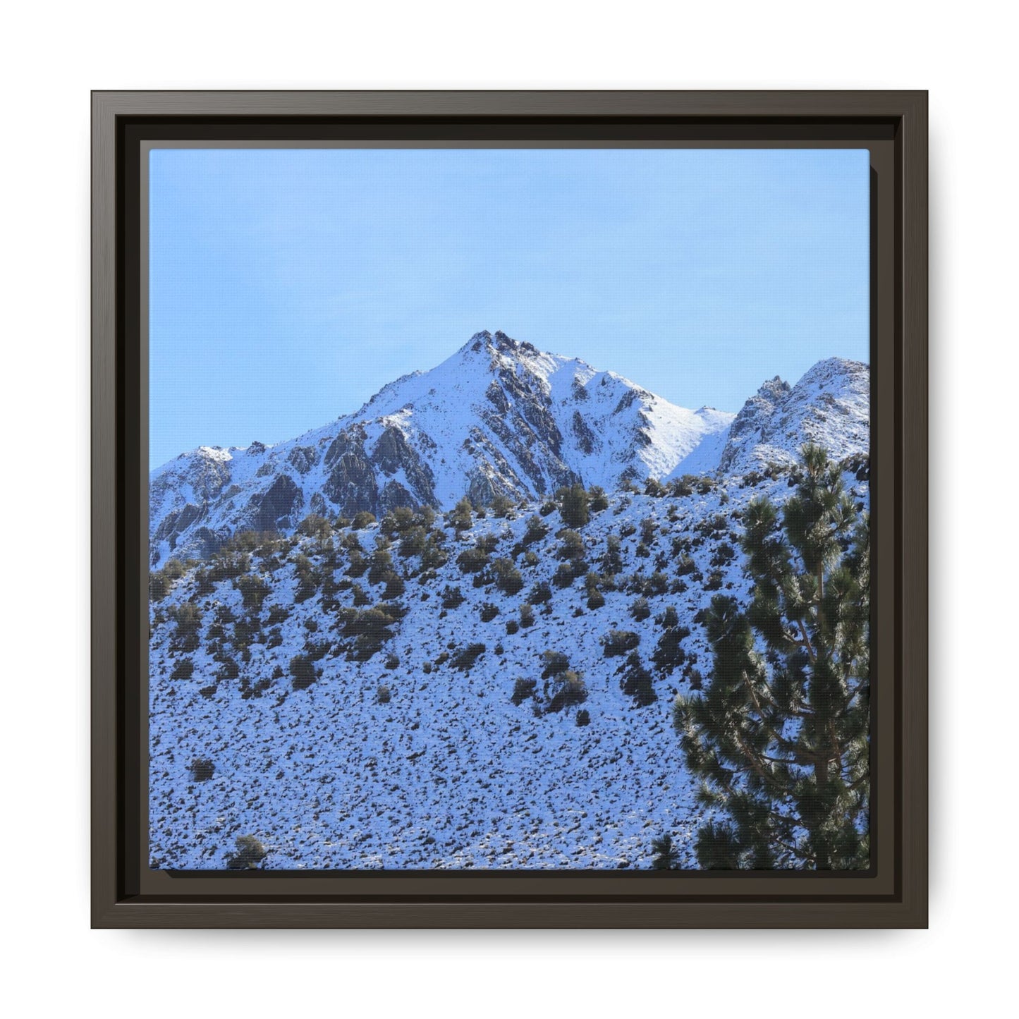 Snow's Embrace - Unique Stretched Canvas Wall Art
