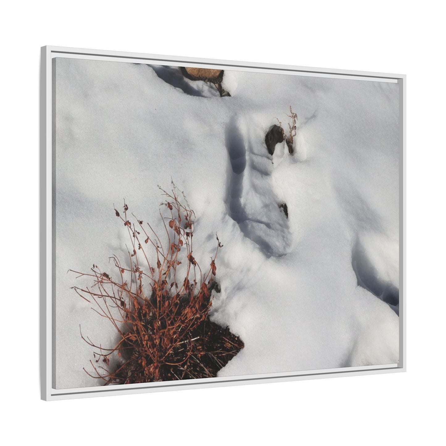 Frostbound Whispers - Unique Stretched Canvas Wall Art