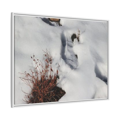 Frostbound Whispers - Unique Stretched Canvas Wall Art