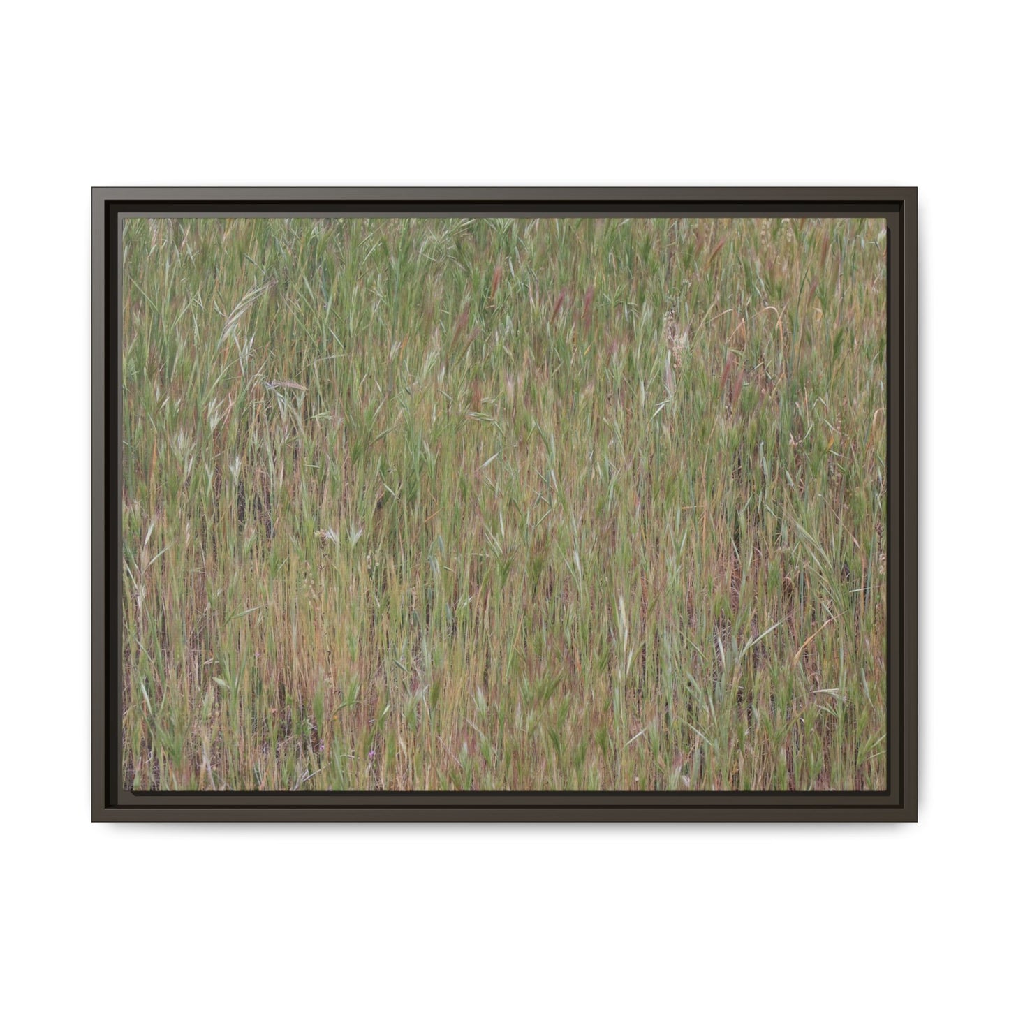 Field of Dreams - Unique Stretched Canvas Wall Art - Art By Earth