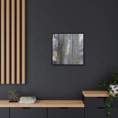 Cracked Timber Texture - Unique Stretched Canvas Wall Art