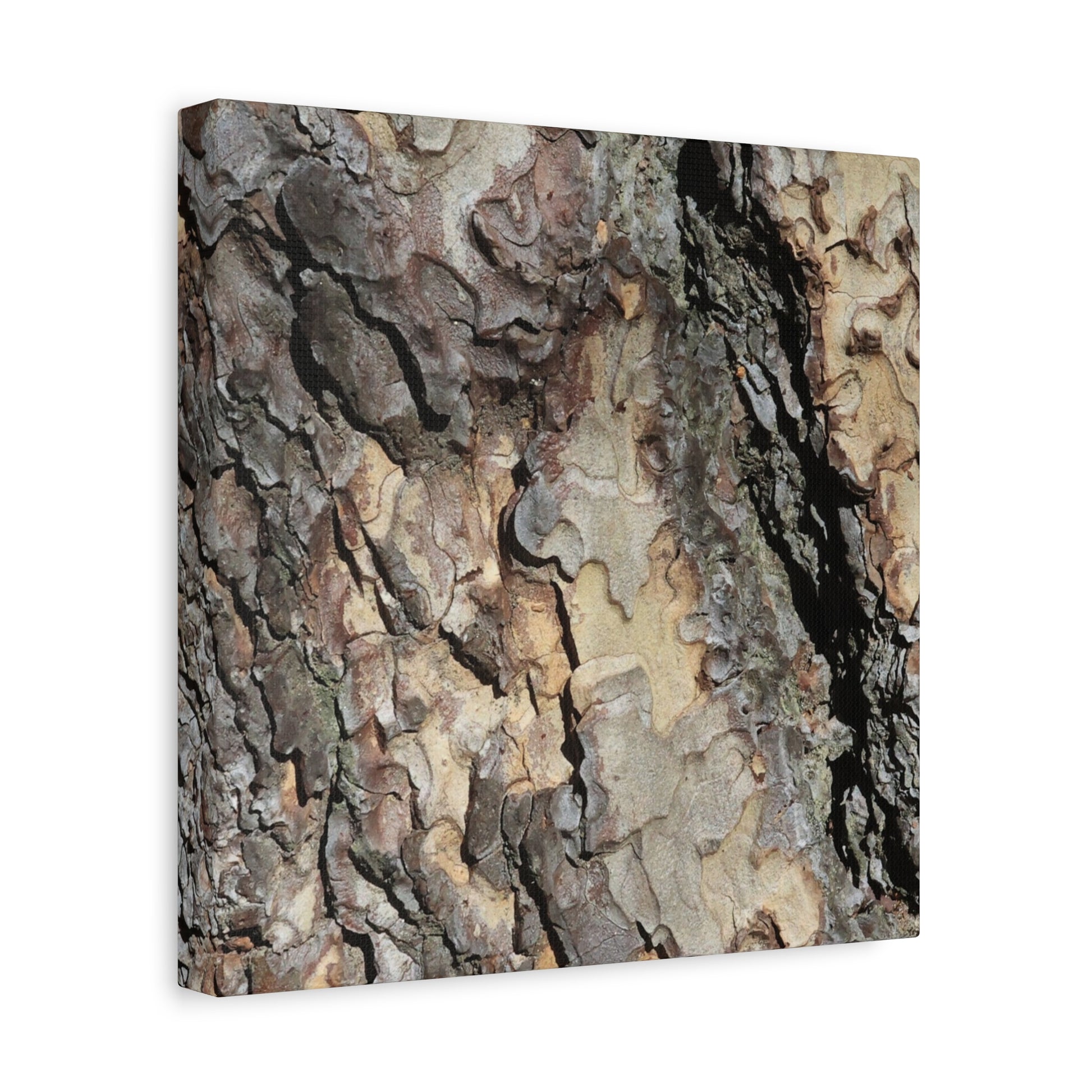 Tree Bark Symphony - Unique Frameless Canvas Wall Art - Art By Earth