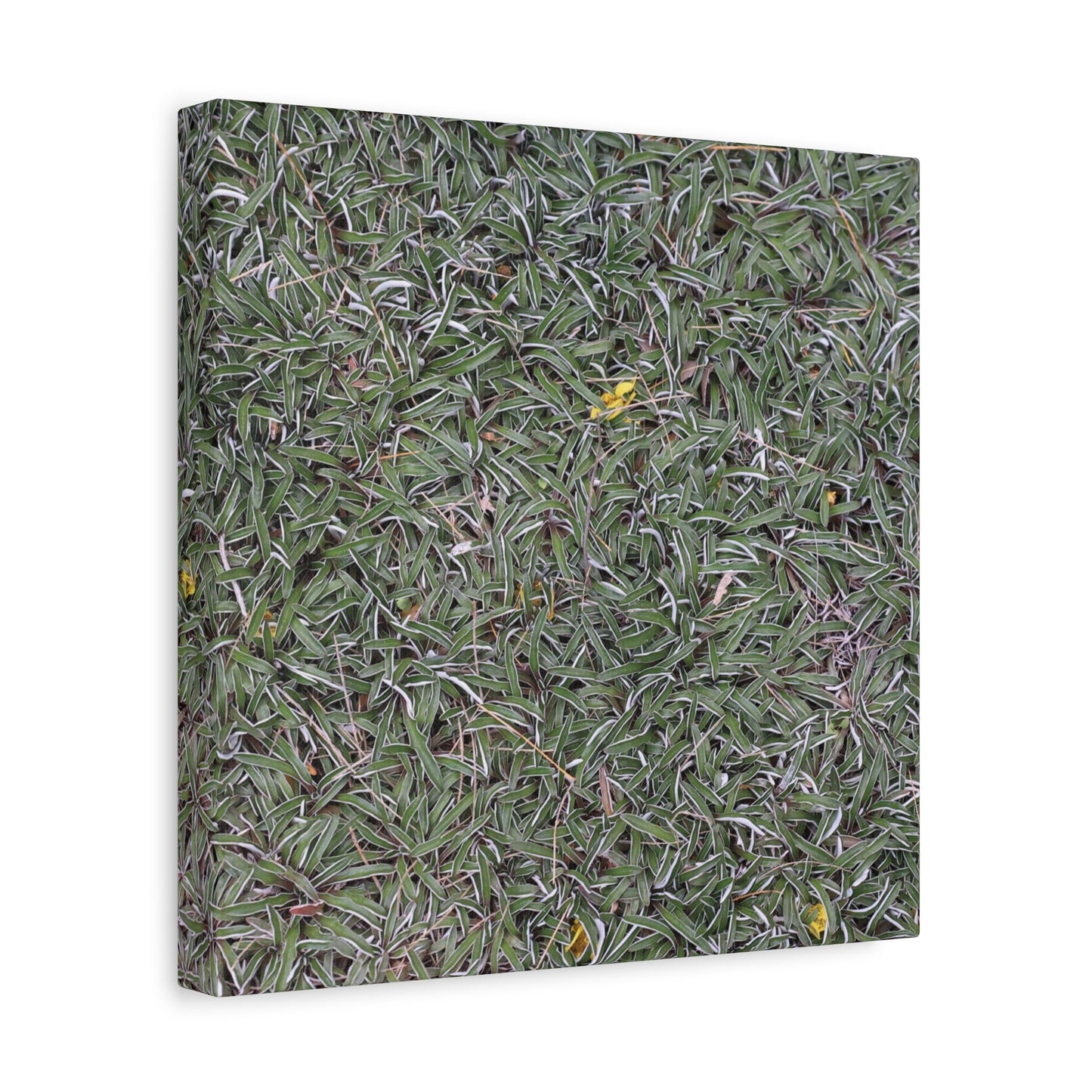 Tangled Memories - Unique Frameless Canvas Wall Art - Art By Earth