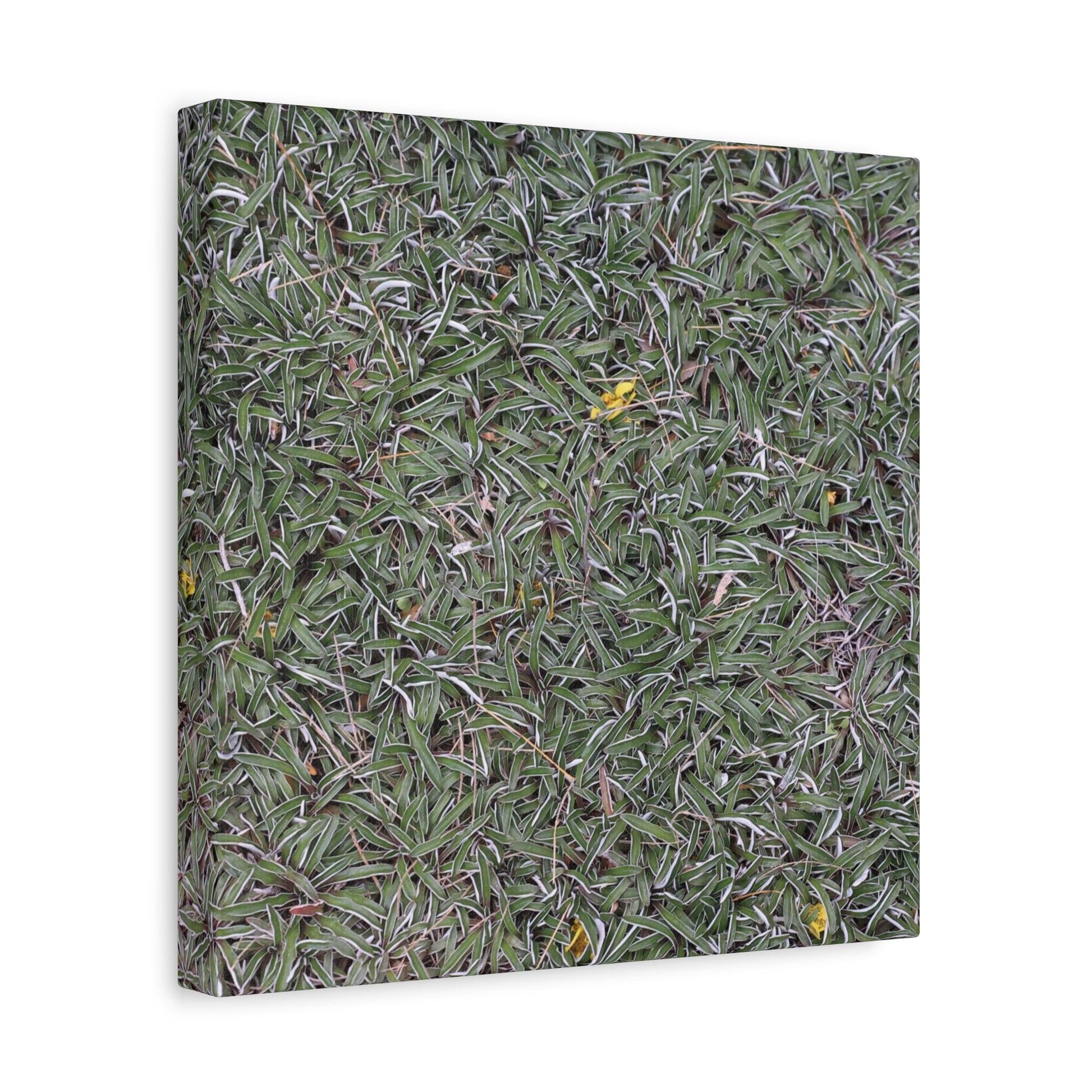 Tangled Memories - Unique Frameless Canvas Wall Art - Art By Earth