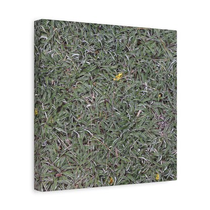 Tangled Memories - Unique Frameless Canvas Wall Art - Art By Earth