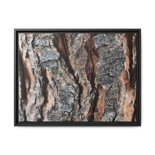 Fractured Nature - Unique Stretched Canvas Wall Art - Art By Earth