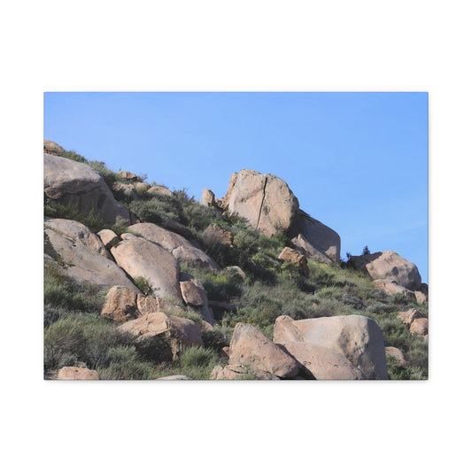 Desert Boulder Formation - Unique Frameless Canvas Wall Art - Art By Earth