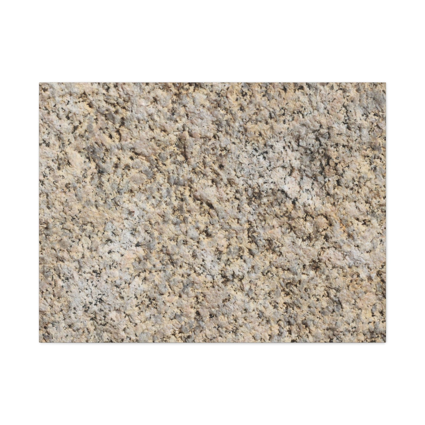 Granular Echoes - Unique Frameless Canvas Wall Art - Art By Earth