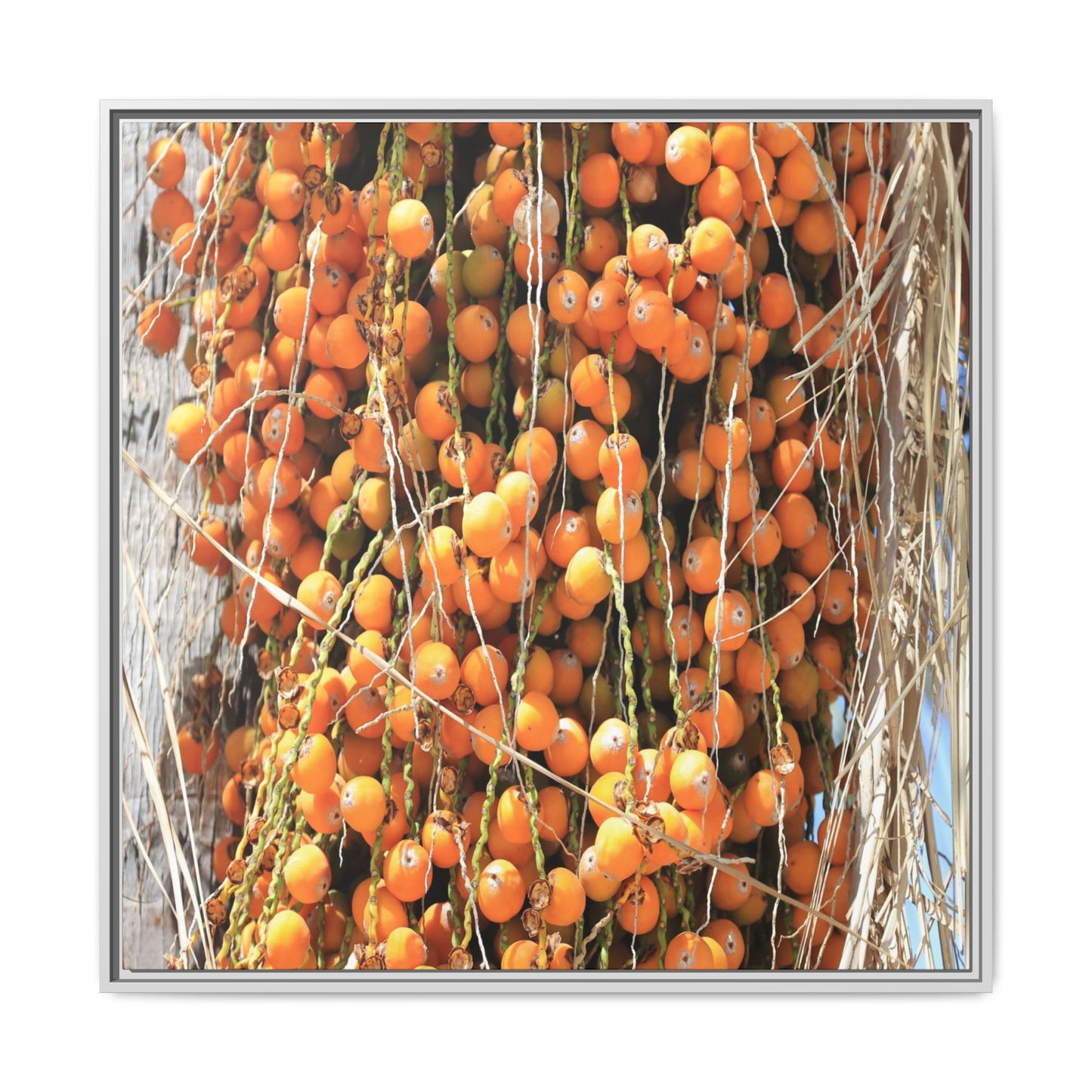 Clusters of Sunlight - Unique Canvas Wall Art - Art By Earth