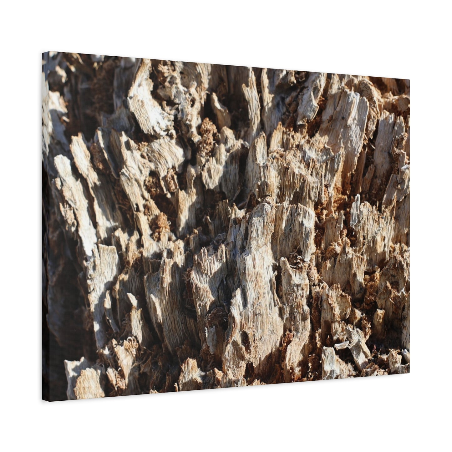 Decaying Bark Symphony - Unique Frameless Canvas Wall Art