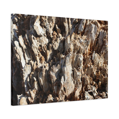 Decaying Bark Symphony - Unique Frameless Canvas Wall Art