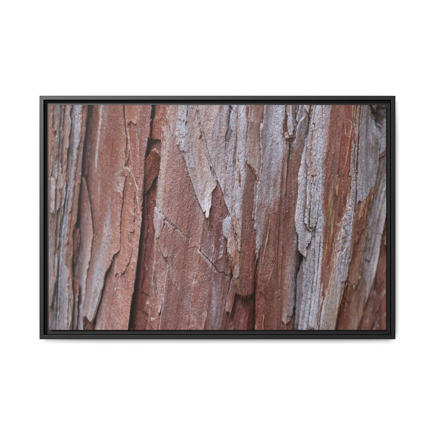 Time and Decay - Unique Stretched Canvas Wall Art - Art By Earth
