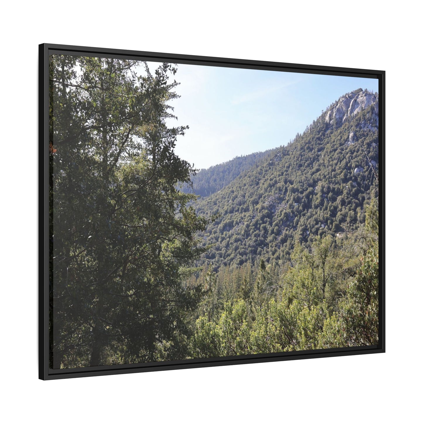 Mountain Valley Forest - Unique Stretched Canvas Wall Art