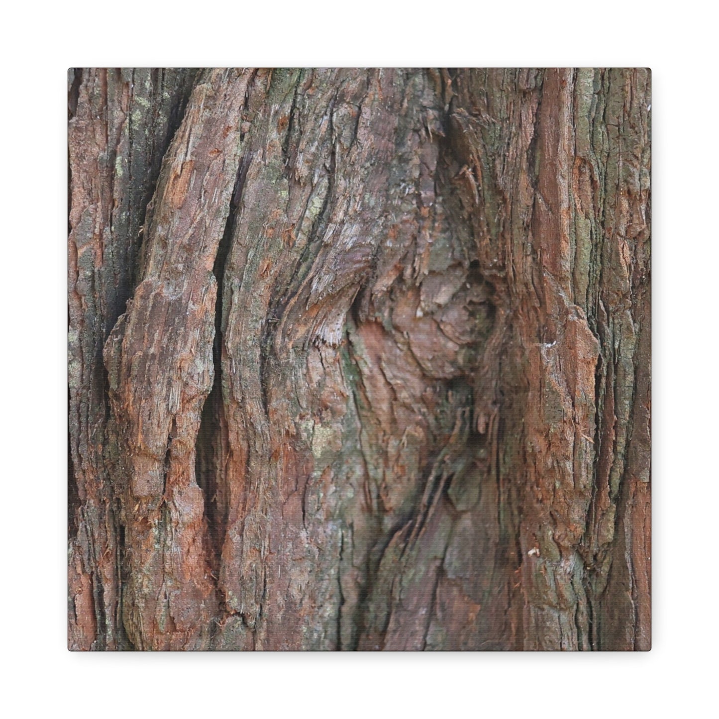 Rustic Embrace - Unique Frameless Canvas Wall Art - Art By Earth