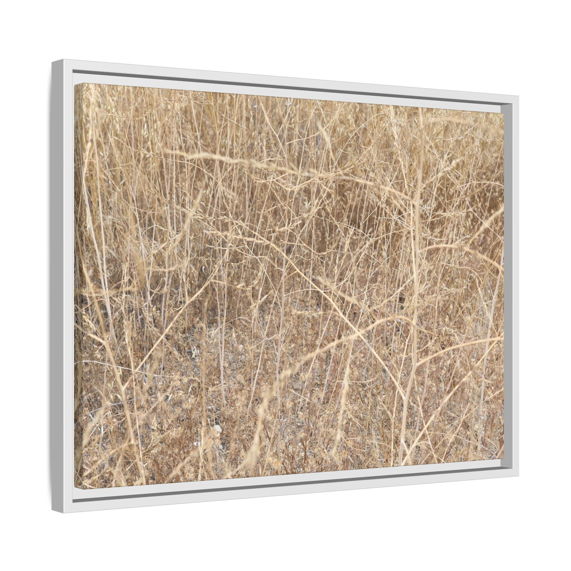 Golden Stalks - Unique Stretched Canvas Wall Art - Art By Earth