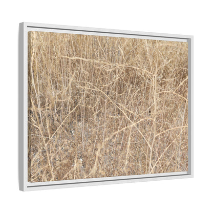 Golden Stalks - Unique Stretched Canvas Wall Art - Art By Earth