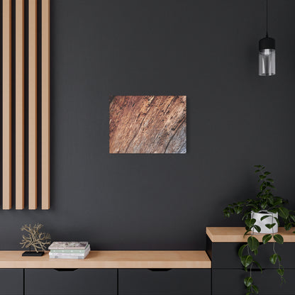 Natural Wood Grain - Unique Frameless Canvas Wall Art - Art By Earth