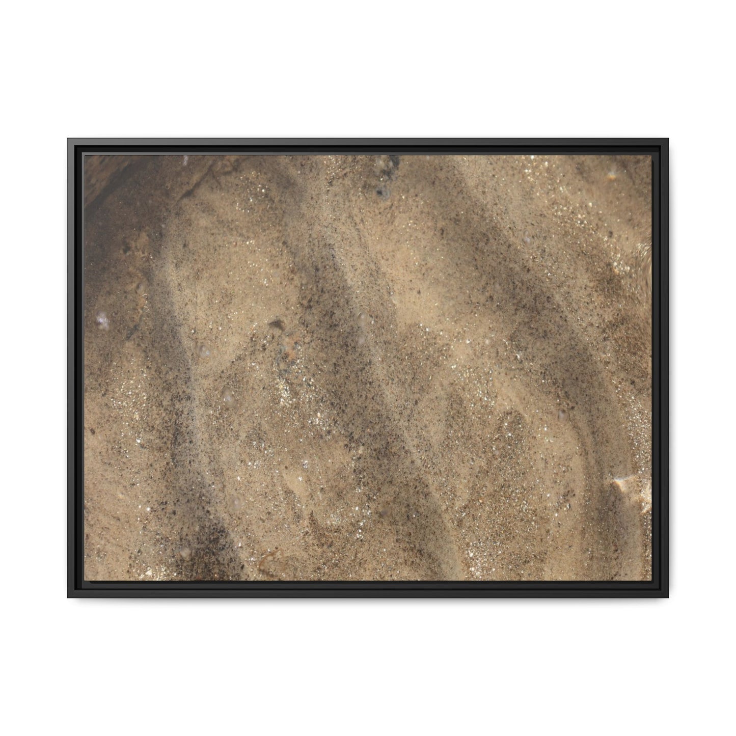 Tidal Pool Secrets - Unique Stretched Canvas Wall Art - Art By Earth