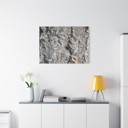 Elemental Canvas - Unique Frameless Canvas Wall Art - Art By Earth