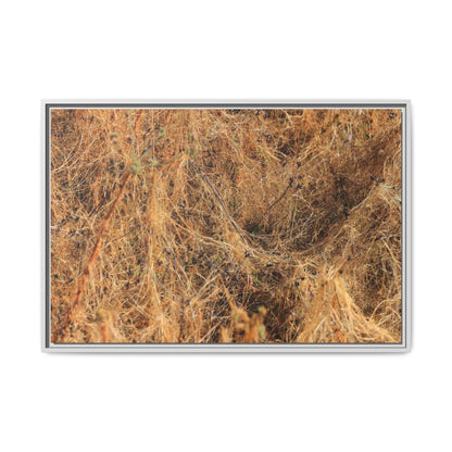 Dried Vegetation Study - Unique Stretched Canvas Wall Art - Art By Earth