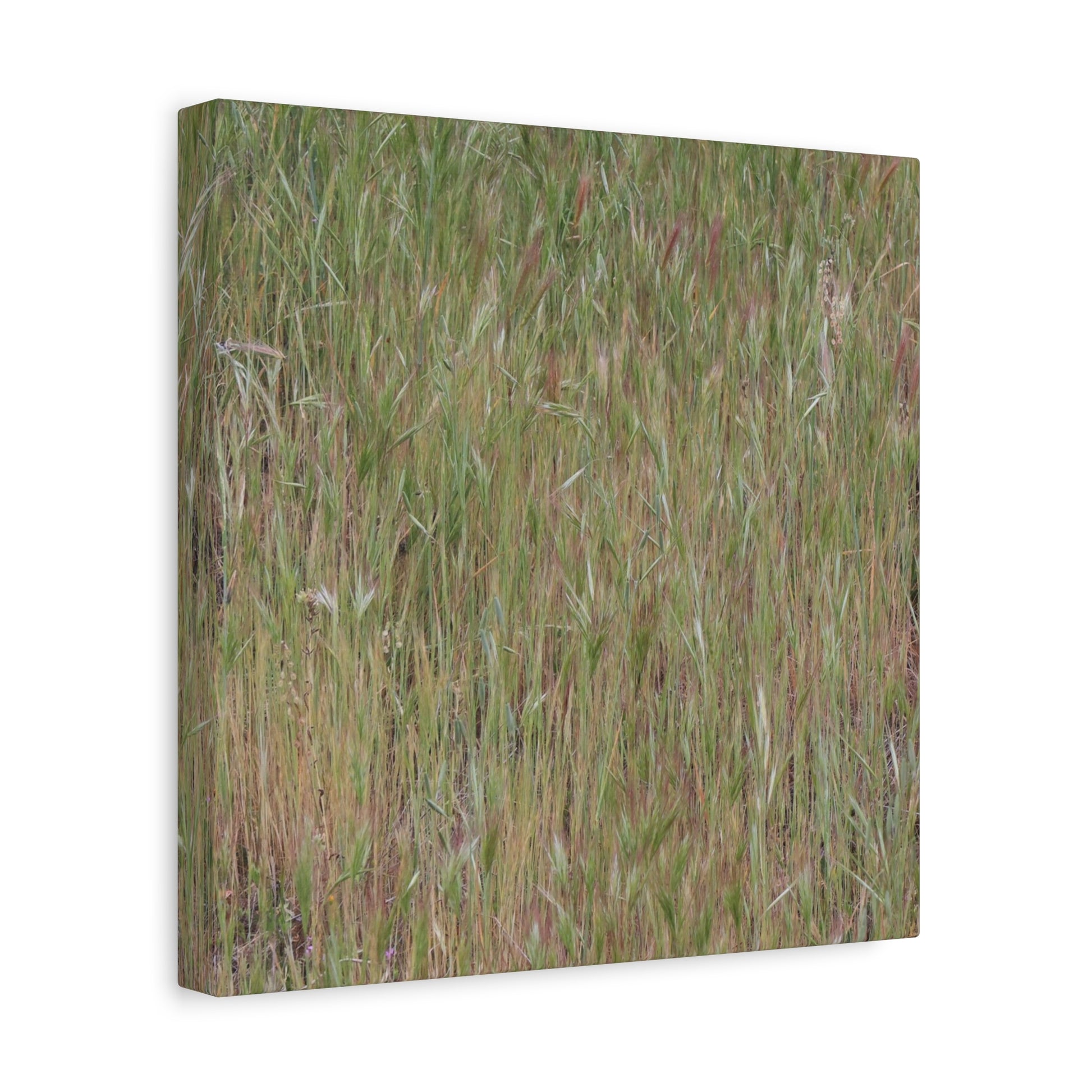 Whispers of the Prairie - Unique Frameless Canvas Wall Art - Art By Earth