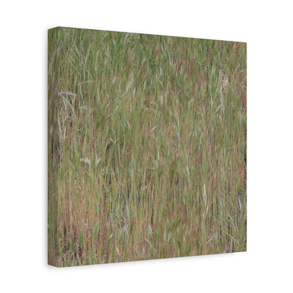 Whispers of the Prairie - Unique Frameless Canvas Wall Art - Art By Earth
