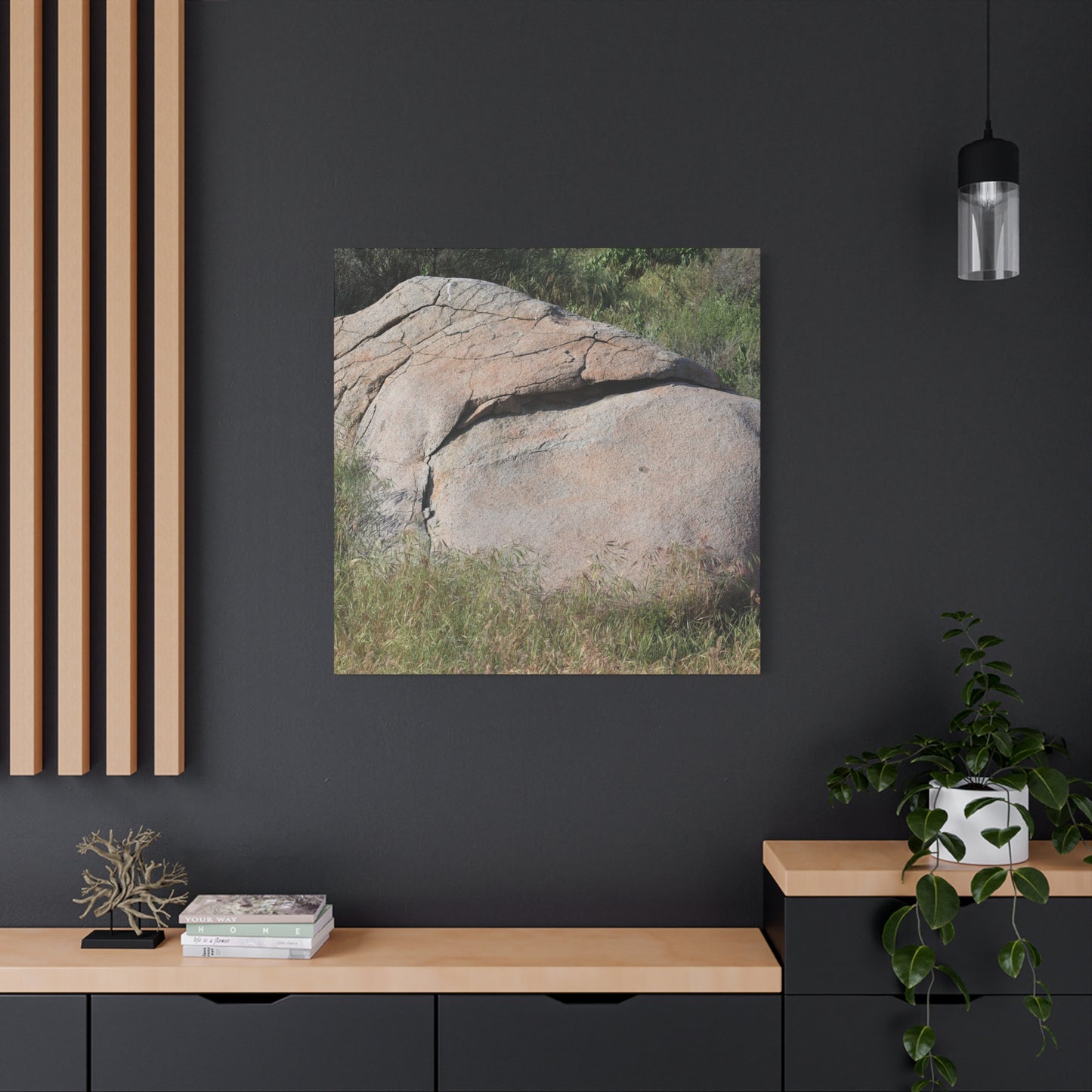 Granite Boulder in Desert Scrub - Unique Frameless Canvas Wall Art - Art By Earth