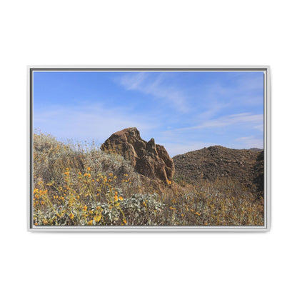 Golden Flowers in Arid Landscape - Unique Stretched Canvas Wall Art - Art By Earth