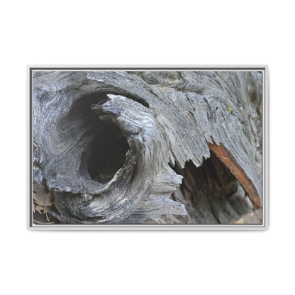 Bark's Labyrinth - Unique Stretched Canvas Wall Art - Art By Earth