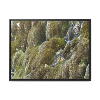 Moss Symphony - Unique Stretched Canvas Wall Art