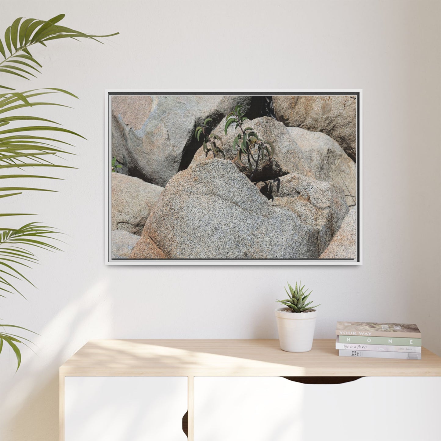 Desert Plant Thriving Among Rocks - Unique Stretched Canvas Wall Art
