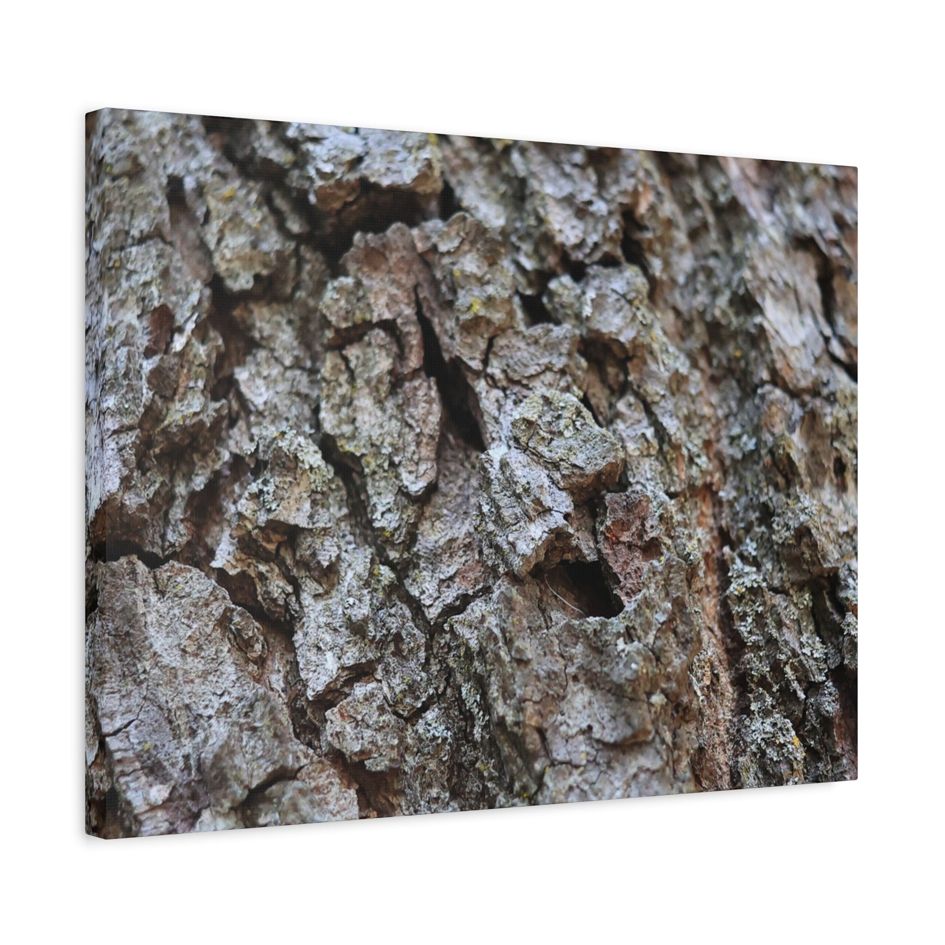 Cracked Echoes - Unique Frameless Canvas Wall Art - Art By Earth