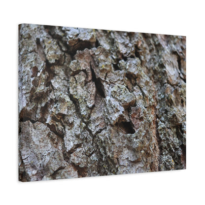 Cracked Echoes - Unique Frameless Canvas Wall Art - Art By Earth