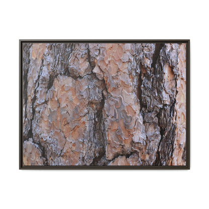 Tree Skin Symphony - Unique Stretched Canvas Wall Art - Art By Earth