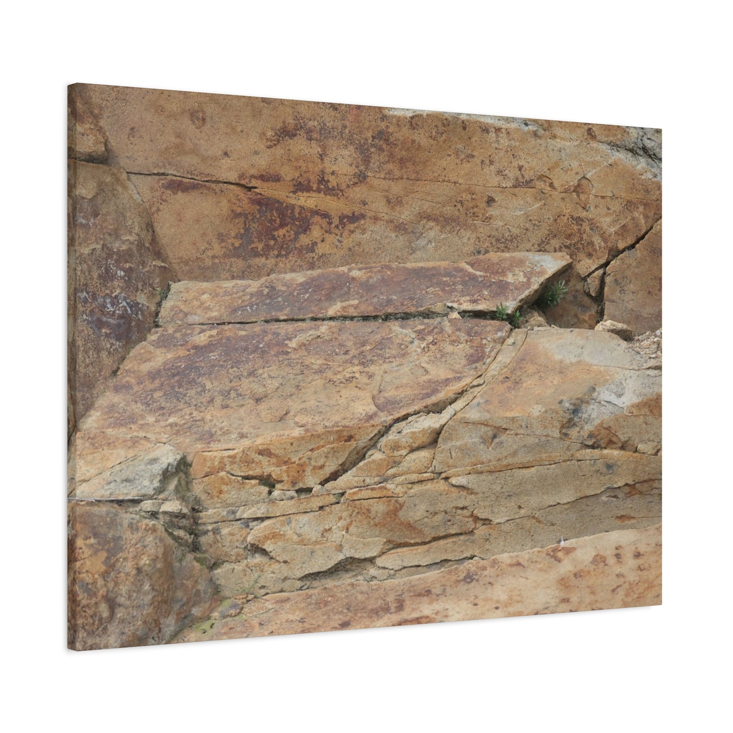 Rocky Terrain - Unique Frameless Canvas Wall Art - Art By Earth