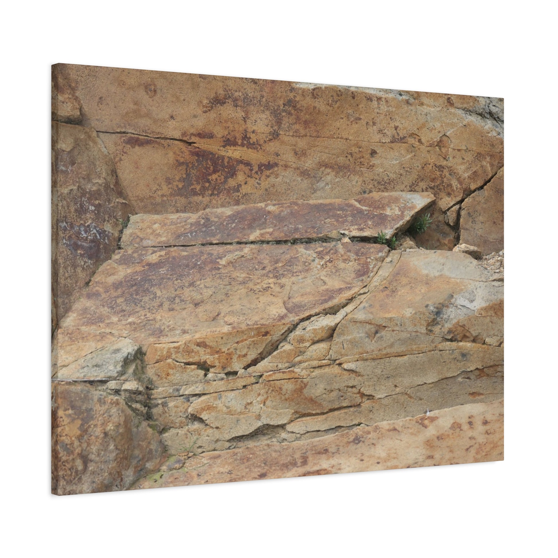 Rocky Terrain - Unique Frameless Canvas Wall Art - Art By Earth