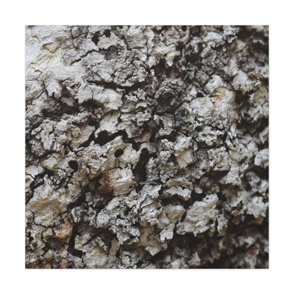 Cracked Earth Tapestry - Unique Frameless Canvas Wall Art - Art By Earth