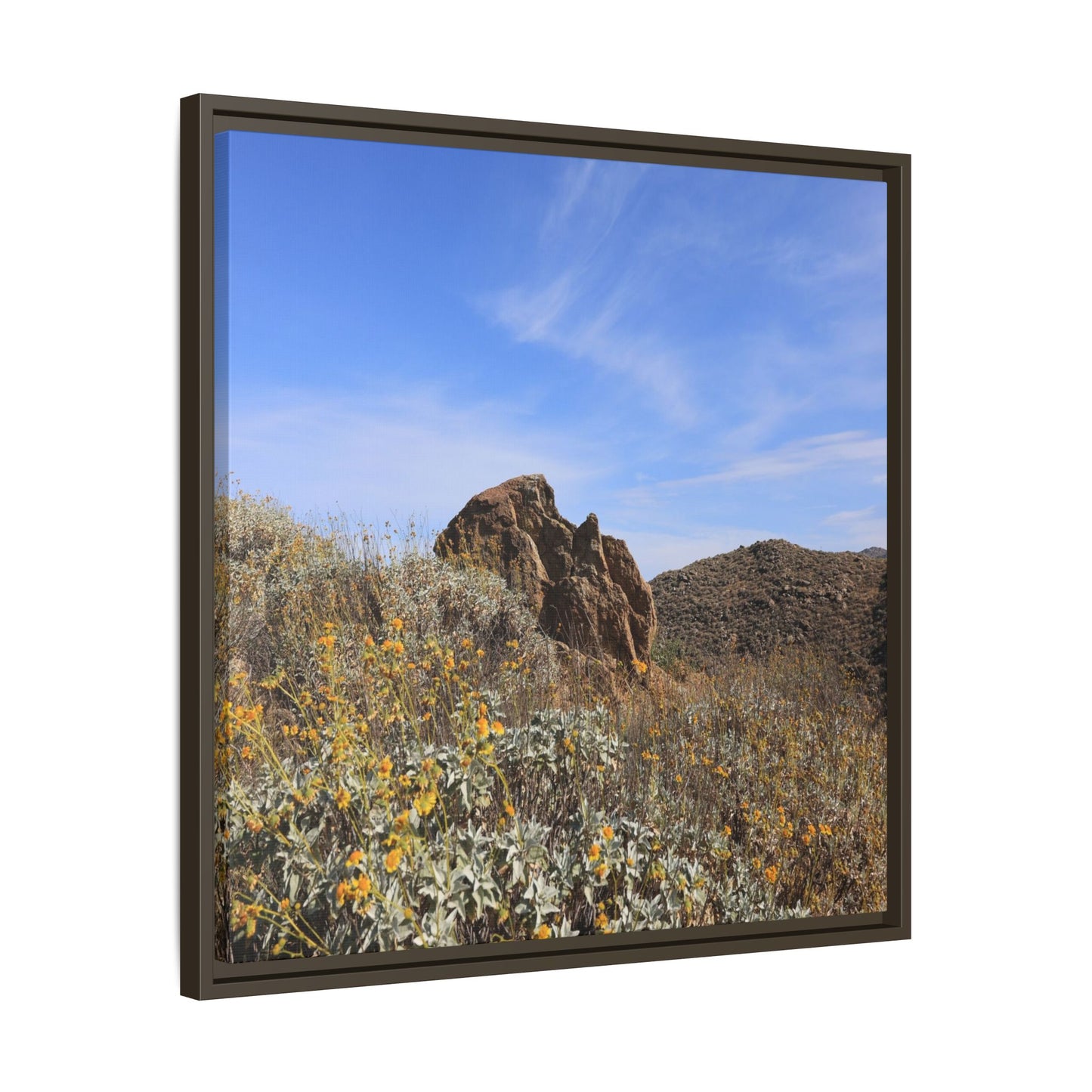 Golden Flowers in Arid Landscape - Unique Stretched Canvas Wall Art - Art By Earth