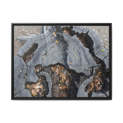 Time's Fractal Memory - Unique Stretched Canvas Wall Art - Art By Earth