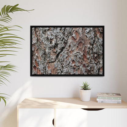 Bark Texture Symphony - Unique Stretched Canvas Wall Art - Art By Earth