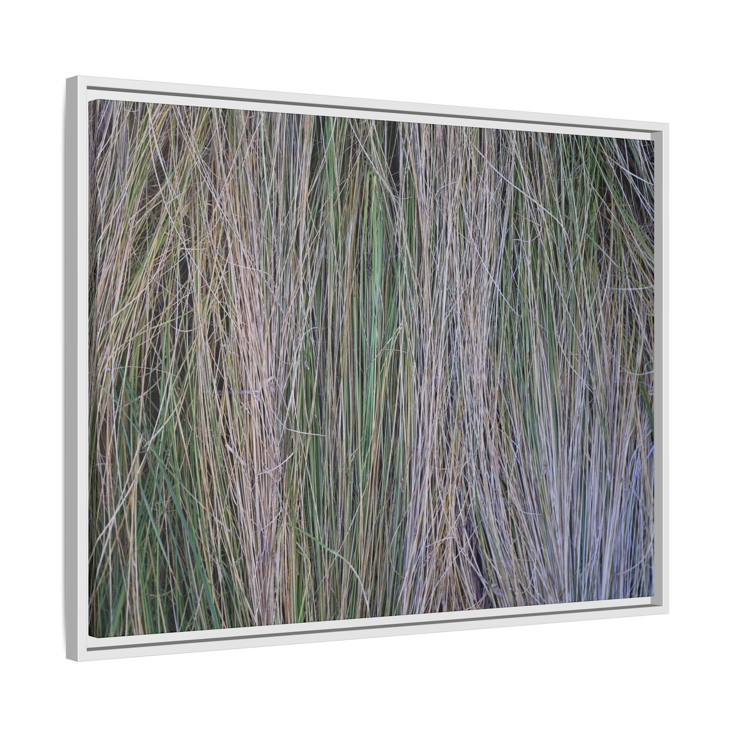 Whispers of Silver Grass - Unique Stretched Canvas Wall Art - Art By Earth