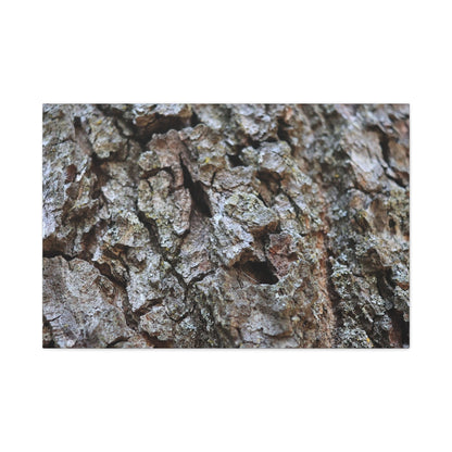 Cracked Echoes - Unique Frameless Canvas Wall Art - Art By Earth